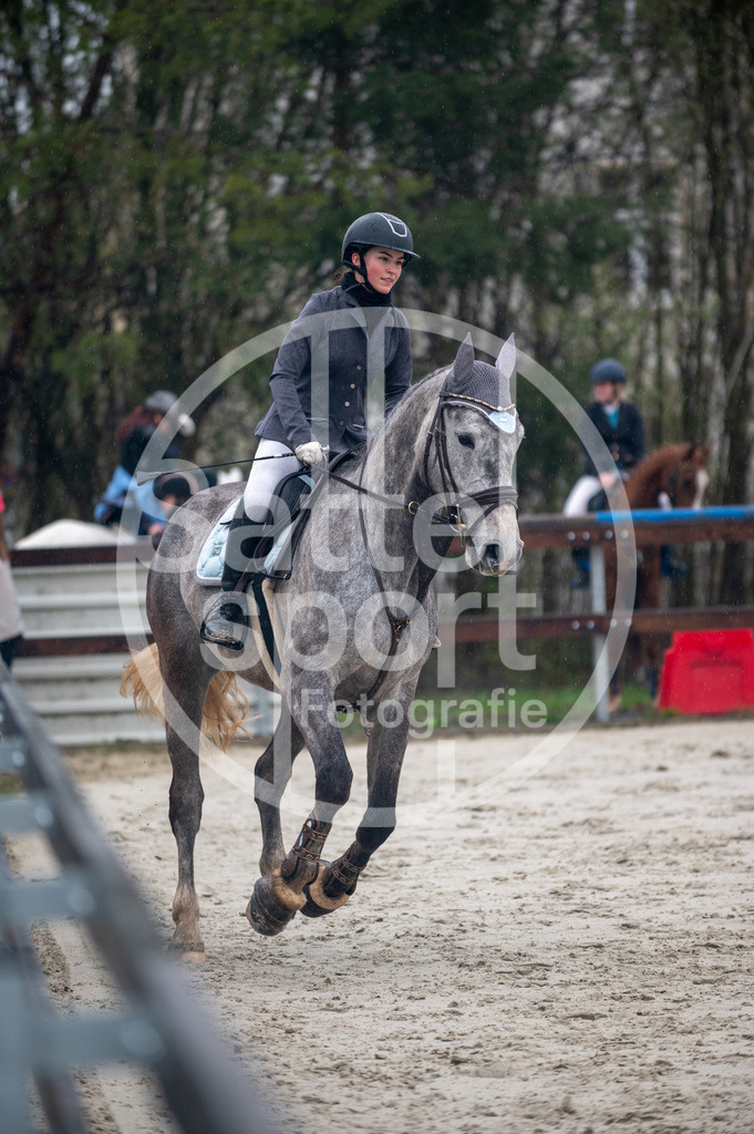 DSC_8601 | sattelsport - Realisiert mit Pictrs.com