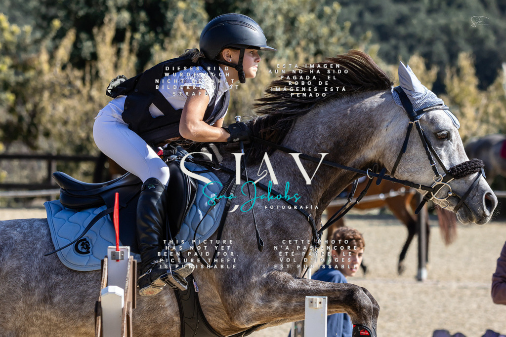 IMG_6308 | s-jay-photography - Realisiert mit Pictrs.com