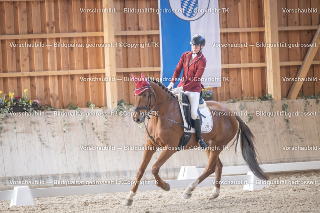 _D5A2113 | Emotionale Pferde- & People-Fotografie rund um Heidelberg, Leimen & Umgebung. Natürliche Fotos von Pferd, Mensch & Familie. Jetzt Termin sichern!