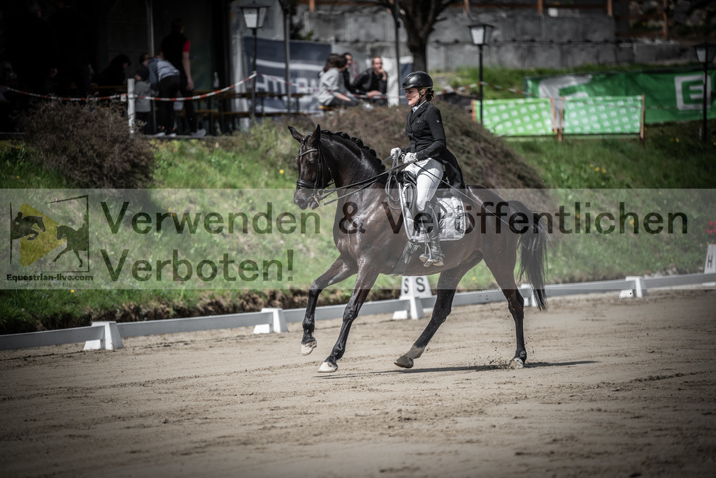 DSC_1728 | equestrian-live-com