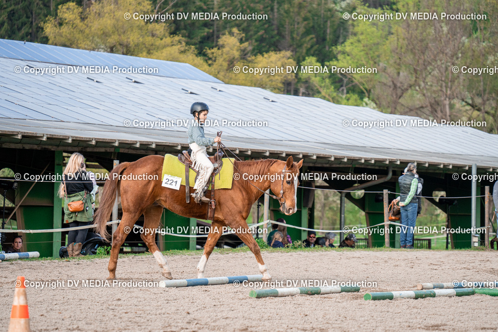 BAL02879 | dv-media-shop - Realisiert mit Pictrs.com