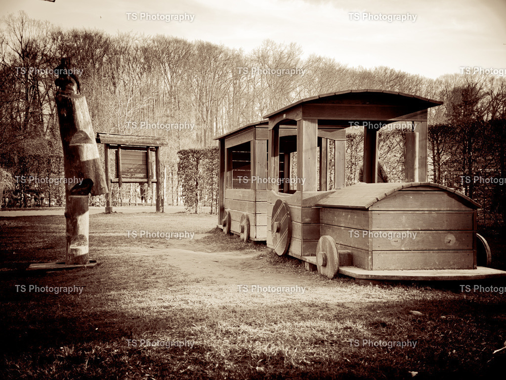 IMG_5347 | TS Photography - Realisiert mit Pictrs.com