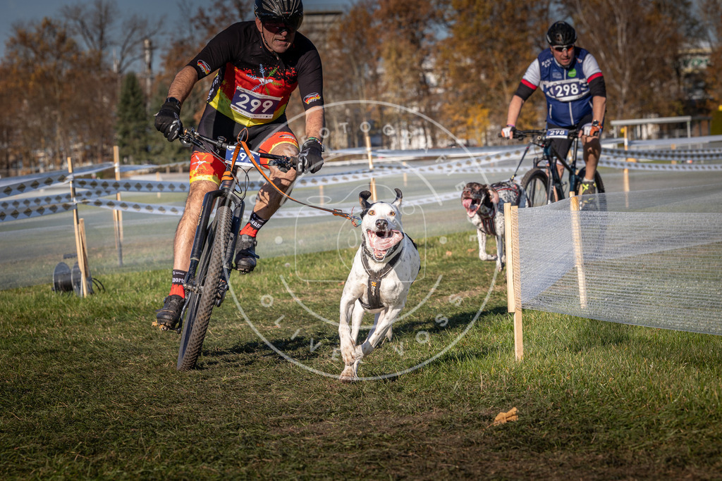 CaniXpix_0L8A5465 | Hundefotografie, Tierfotograf, Pfotenfotografie, Fotoshooting Hund, Hunde Portrait, Hundesport, Hundeportraits, Heideshooting, Hunde, Sportfotograf, Hundefotograf, Turnierhundsport, THS,  - Realisiert mit Pictrs.com
