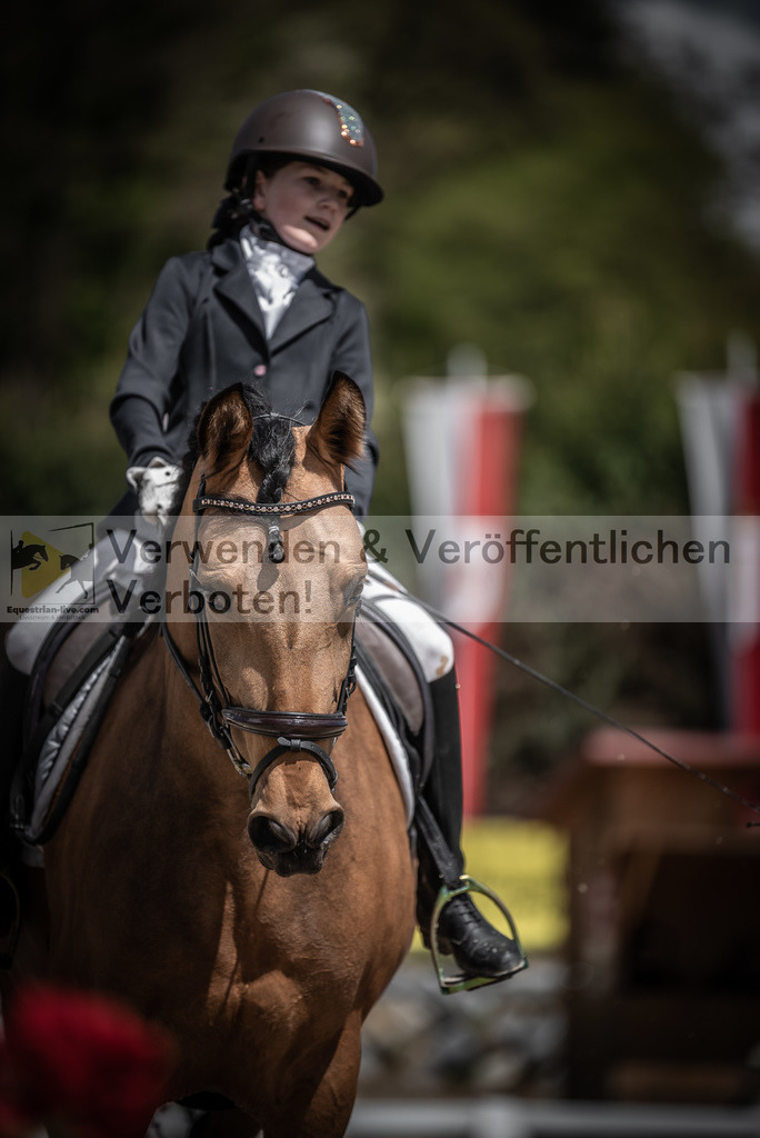 DSC_0845 | equestrian-live-com