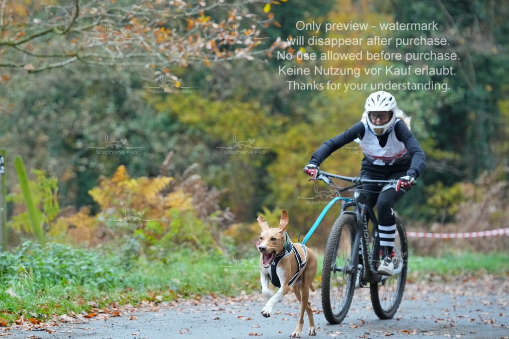 Bike_So-40 | stephaniefillaphotographie - Realisiert mit Pictrs.com