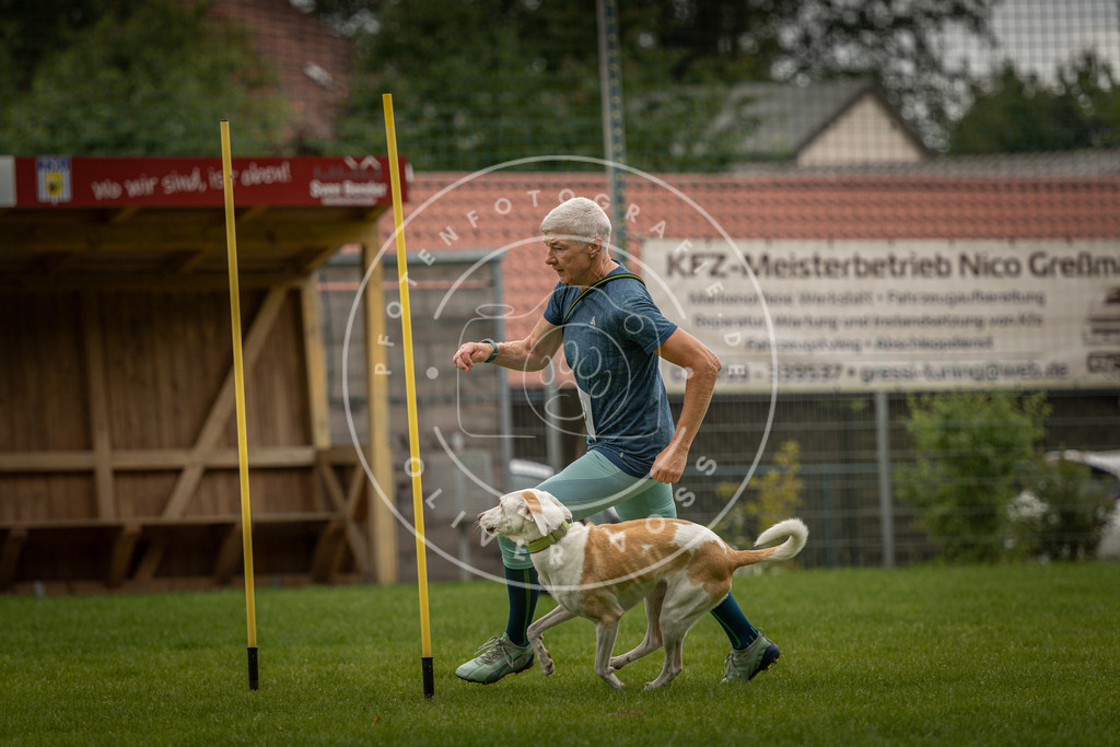 Pfotenfotografie_DV3A8295 | Hundefotografie, Tierfotograf, Pfotenfotografie, Fotoshooting Hund, Hunde Portrait, Hundesport, Hundeportraits, Heideshooting, Hunde, Sportfotograf, Hundefotograf, Turnierhundsport, THS,  - Realisiert mit Pictrs.com