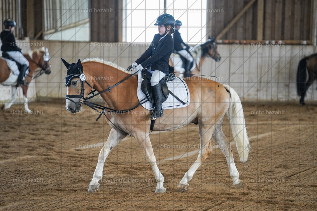 20230521-FAH05846 | Frühjahrsturnier, Landsberg am Lech, 2023, Reitclub Landsberg, Turnierbilder, Fotos Turnier Landsberg, Fotoagentur Herrmann, Turnierfotografen Bayern, Reitsport Fotograf, Pferde Fotograf