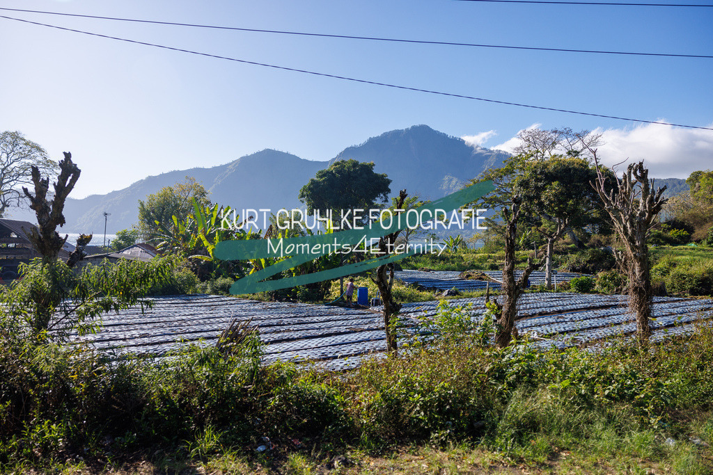 230719-1091 - Kopie | onlinegalerie und Fotoshop Kurt Gruhlke Fotograf Berlin
Hochzeitsfotograf Eventfotograf Portraitfotografie
 - Realisiert mit Pictrs.com