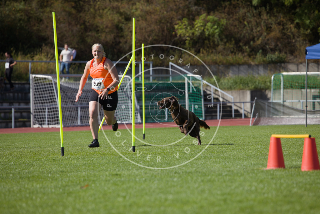 0L8A8096 | Hundefotografie, Tierfotograf, Pfotenfotografie, Fotoshooting Hund, Hunde Portrait, Hundesport, Hundeportraits, Heideshooting, Hunde, Sportfotograf, Hundefotograf, Turnierhundsport, THS,  - Realisiert mit Pictrs.com