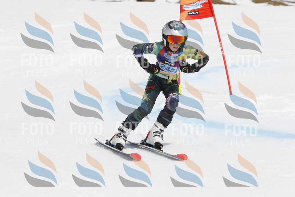 _U3G2798 | holidayphoto