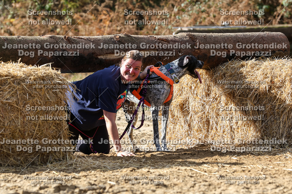 Dog Paparazzi - Strongdog 10-25-5214 | Dog Paparazzi Jeanette Grottendiek Fotografie & Videografie - Realisiert mit Pictrs.com