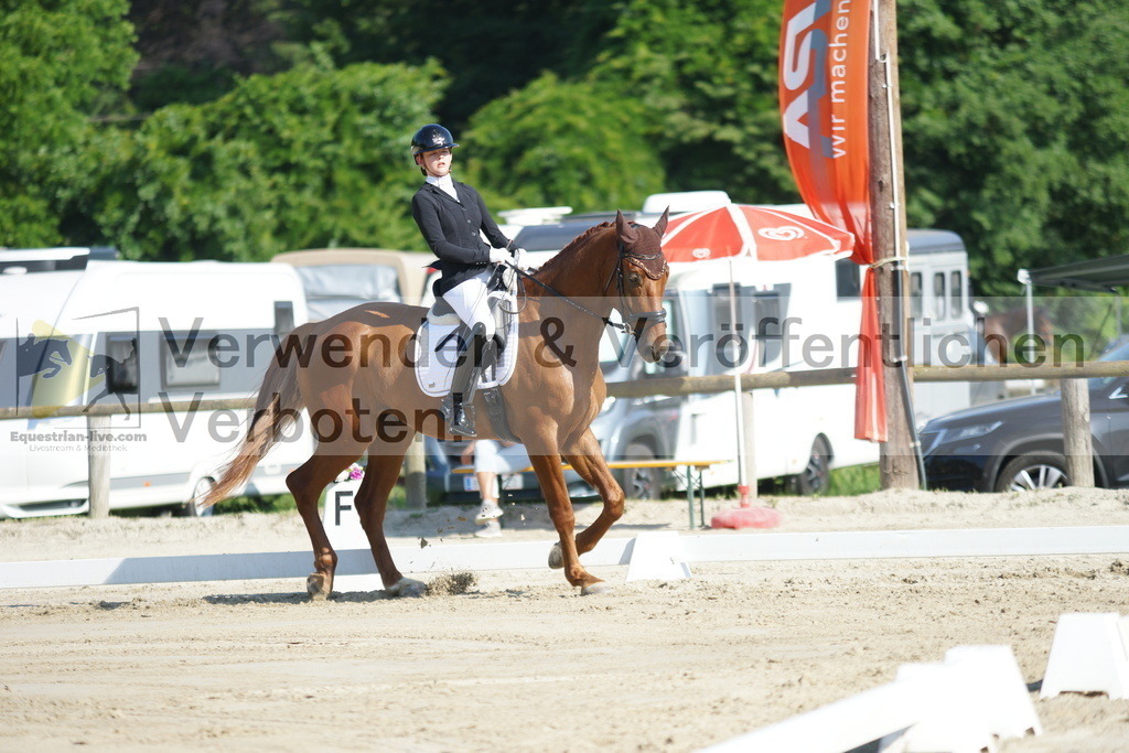 DSC03991 | equestrian-live-com