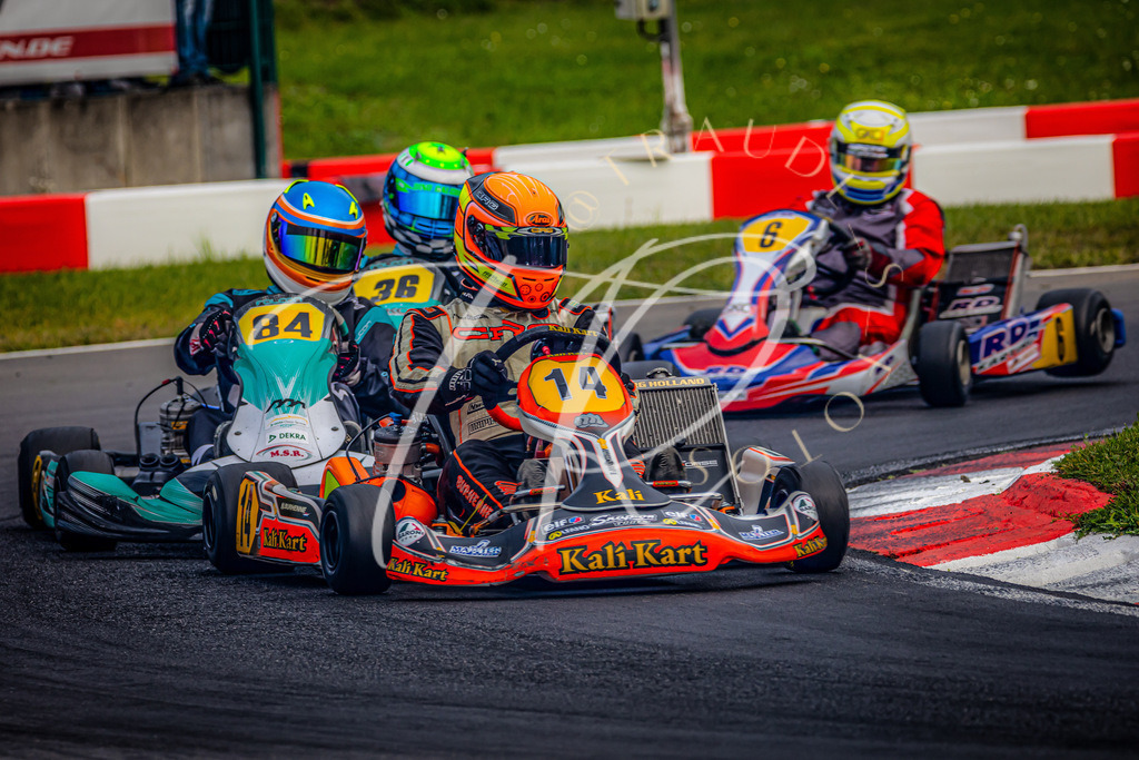 52FDC771-F92B-4E0E-A403-0E143CB53300 | traudl_s_fotos