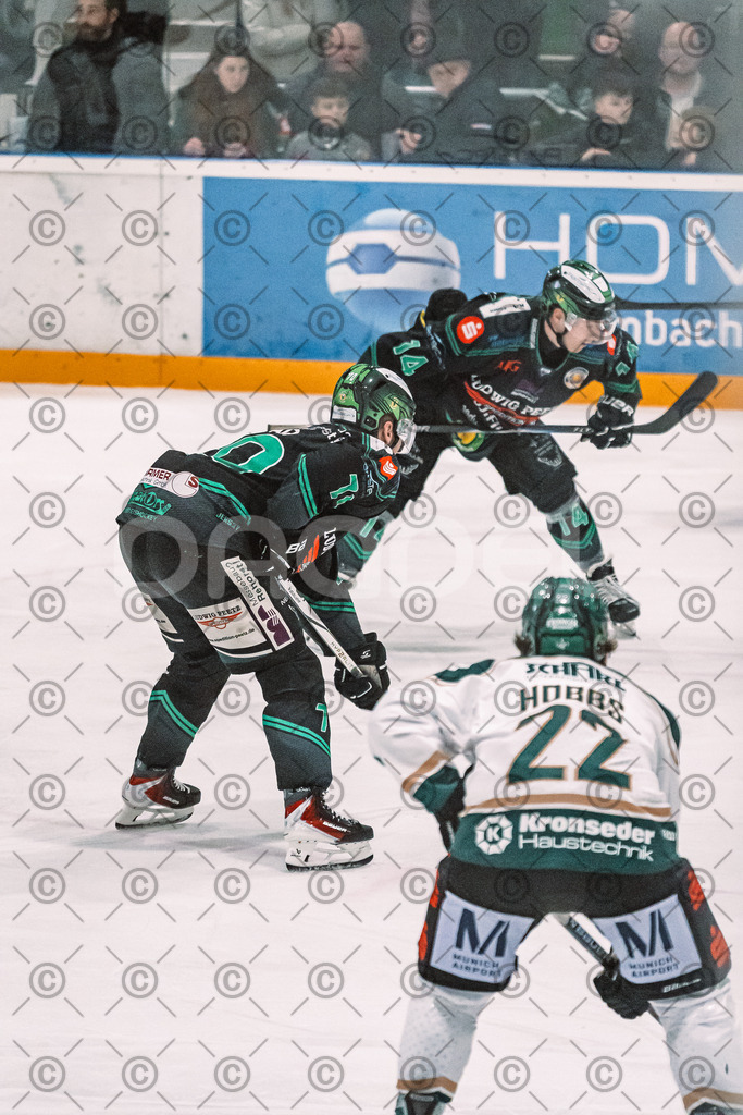 Alligators_vs_Erding_12_12_2025-191 | Höchstadt Alligators Fotogalerie: Eishockey-Action aus Franken. Professionelle Spielfotos, Portraits & Stadionbilder zum Download. Jetzt entdecken! - Realisiert mit Pictrs.com