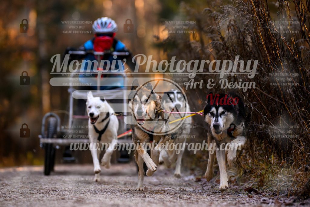 MompixPhotography_DM_AKDM_SO_2025_Wagen-71 | PayLife