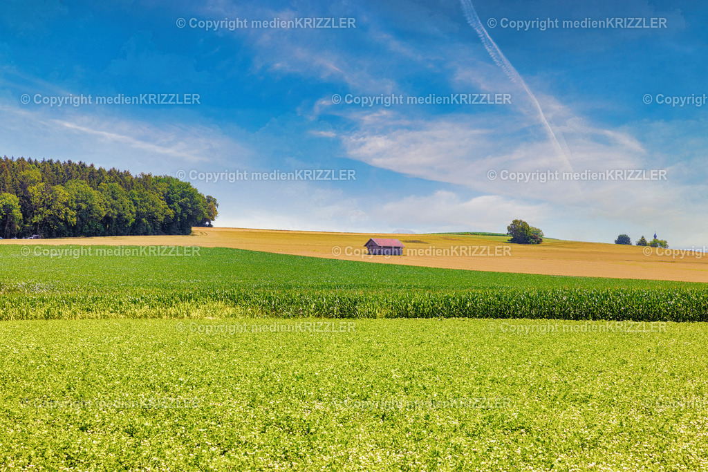 _J3A8103 | medienkrizzler - Realisiert mit Pictrs.com