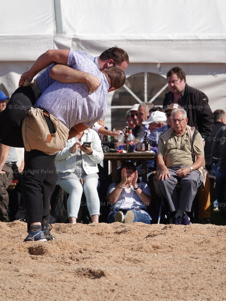 DSC05592 | Schwingen - Realisiert mit Pictrs.com