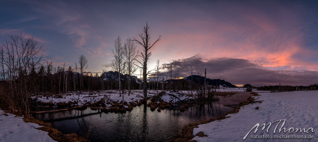 Abendstimmung Berger Moos Pfronten | Dies ist der Online-Shop von naturfoto.michaelthoma.de. Ich bin leidenschaftlicher Naturfotograf und fotografiere von der Andromedagalaxie bis zum Zwergtaucher, von der Ameise bis zum Orionnebel alles was mit Natur zu tun hat. Hier kann eine Auswahl meine - Realisiert mit Pictrs.com