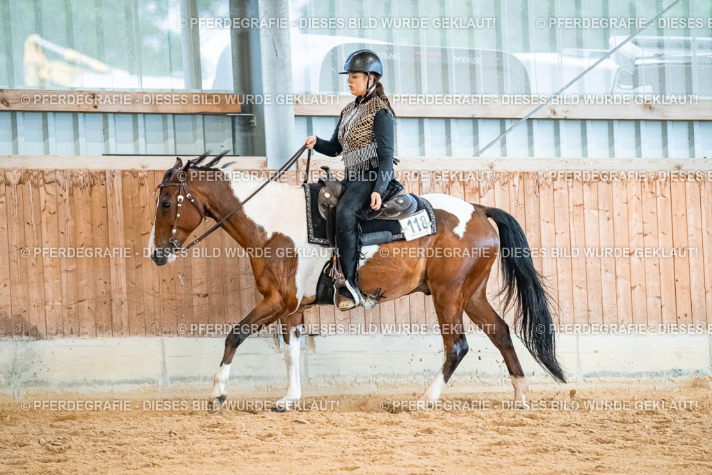 DSC00479 | Pferdegrafie