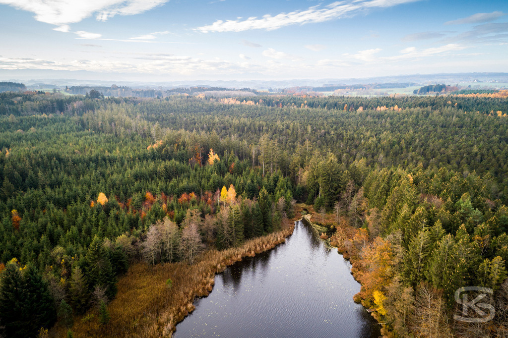 Allgäu-See-Landschaft aus der Luft mit dichtem Nadelwald im Herbst | Atemberaubende Allgäu-See-Landschaft aus der Luft mit farbenprächtigem Nadelwald im Herbst – idyllische Natur, klare Gewässer und leuchtende Herbstfarben für beeindruckende Drohnenaufnahme - Realisiert mit Pictrs.com