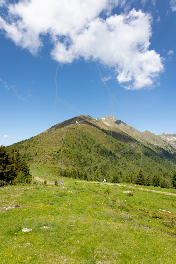 Sommer am Fuße des Preber | Ihre Fotografin im Lungau, ihre Fotografin im Mostviertel, Wandbilder Onlineshop, Imagefotos für Ihr Unternehmen,  - Realisiert mit Pictrs.com