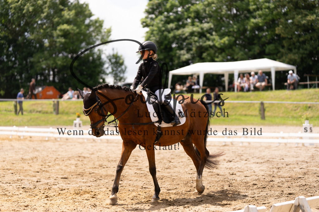 A7505990 | Turnier/Reitfotograf