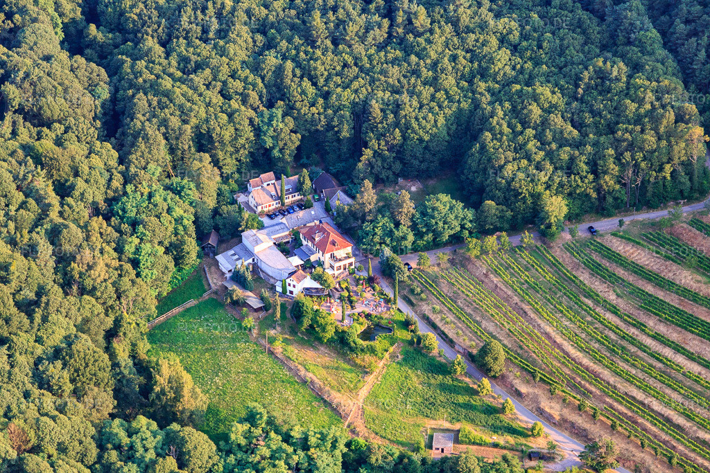 Luftbild: Weingut Sankt Annaberg in Burrweiler im Bundesland Rheinland-Pfalz in Deutschland. Foto: IMG_108830.jpg vom 15.07.2018 durch Werner Riehm/FLY-FOTO.deauf dem Weingut Sankt Annaberg
