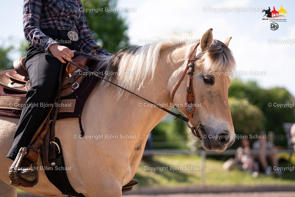 LMB08208 | BS-foto