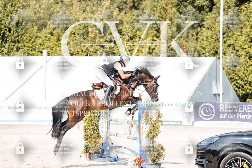 CK901356 | Turnierfotografie Pferdefotografie Trier Rheinland-Pfalz Pferdesport Reitsport Tierfotografie Sportfotografie Pferdevideo Pferdevideografie Equestrianvideography equestrianphotography  - Realisiert mit Pictrs.com