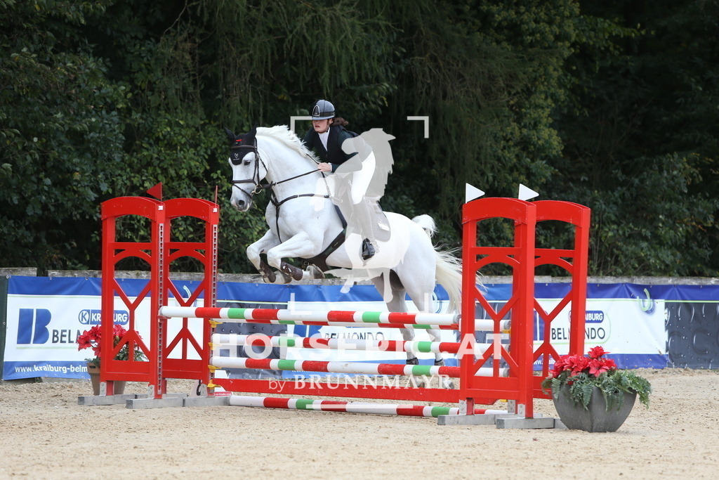 DL2Q0704 | Willkommen bei Brunnmayr - Design & Fotografie – Ihrem Spezialisten für Reitturniere und Pferdeveranstaltungen in Oberösterreich, Salzburg und Bayern! Seit über 17 Jahren sind wir leidenschaftlich dabei.