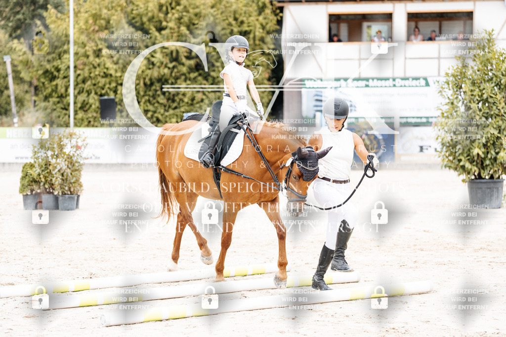 CK907314 | Turnierfotografie Pferdefotografie Trier Rheinland-Pfalz Pferdesport Reitsport Tierfotografie Sportfotografie Pferdevideo Pferdevideografie Equestrianvideography equestrianphotography  - Realisiert mit Pictrs.com