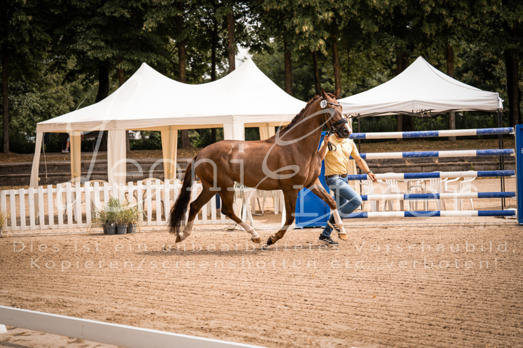 4.Fr00043 | Leoni Ertmer Photography - Realisiert mit Pictrs.com