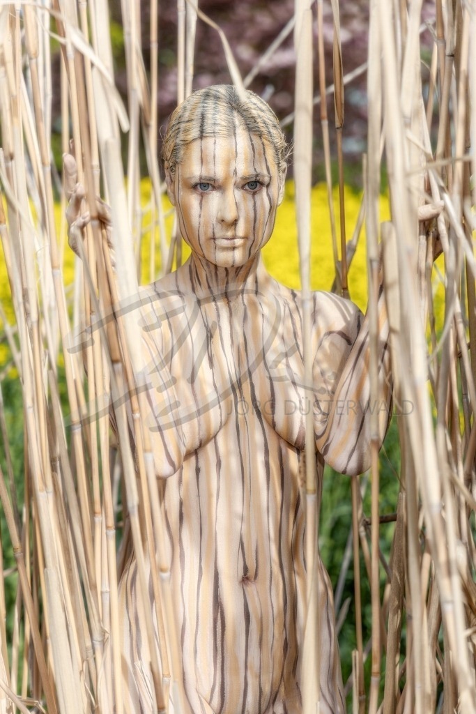 NatureArt-SCHILF_5285b | Softes Schilf | #033 | Modell: Tatjana Heinz | Foto: Andreas P. - Realisiert mit Pictrs.com