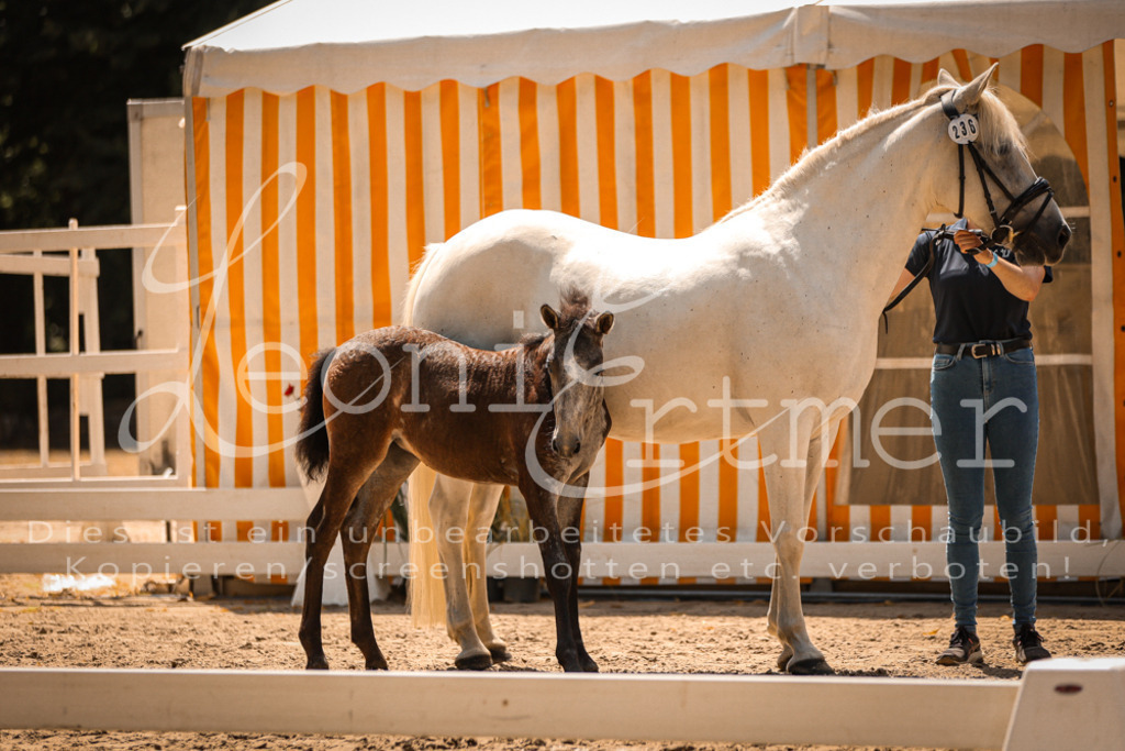 02.DoSR00171 | Leoni Ertmer Photography - Realisiert mit Pictrs.com