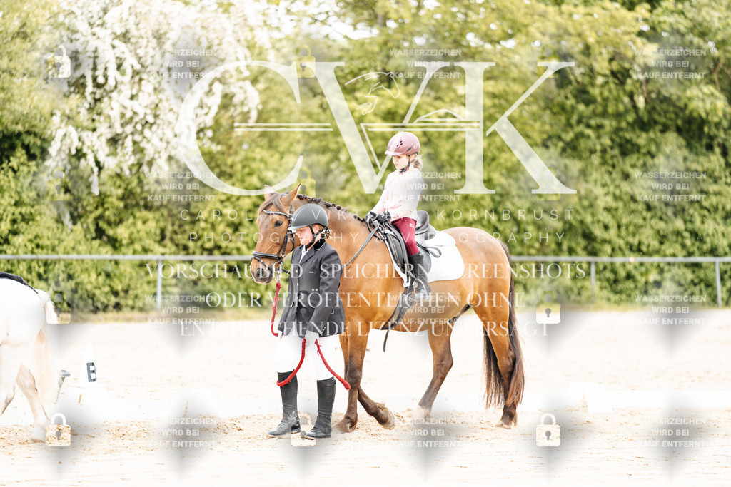 CK903734 | Turnierfotografie Pferdefotografie Trier Rheinland-Pfalz Pferdesport Reitsport Tierfotografie Sportfotografie Pferdevideo Pferdevideografie Equestrianvideography equestrianphotography  - Realisiert mit Pictrs.com