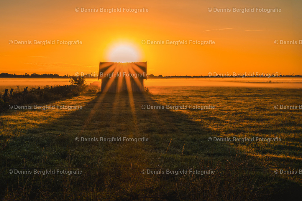 Sonnenaufgang im Recker Moor1 | Entdecken Sie Natur, Makro und Tierfotografie von Dennis Bergfeld.Besondere Momente und Details der Natur, hochwertig als Foto und Wandbild erhältlich. - Realisiert mit Pictrs.com