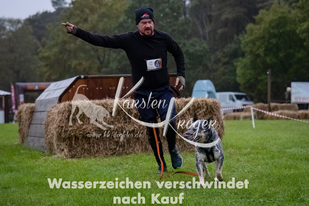0814-_ZZ90793-Bearbeitet-Bearbeitet | kk-dogfotos