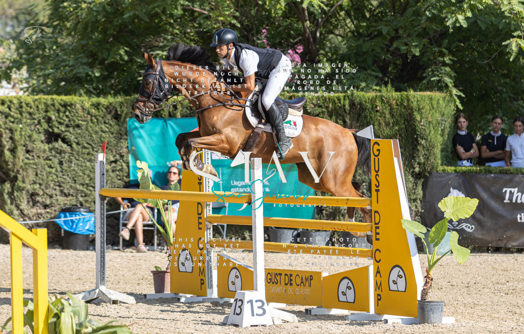 IMG_9157 | s-jay-photography - Realisiert mit Pictrs.com