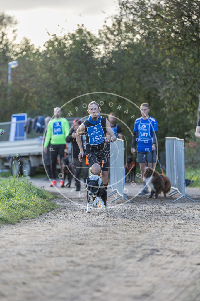 Pfotenfotografie.de_DV3A2727 | Hundefotografie, Tierfotograf, Pfotenfotografie, Fotoshooting Hund, Hunde Portrait, Hundesport, Hundeportraits, Heideshooting, Hunde, Sportfotograf, Hundefotograf, Turnierhundsport, THS, canicross - Realisiert mit Pictrs.com