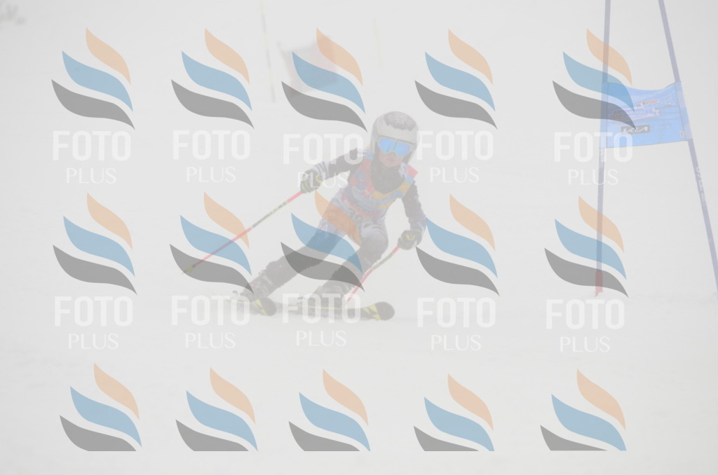 C0846 | holidayphoto