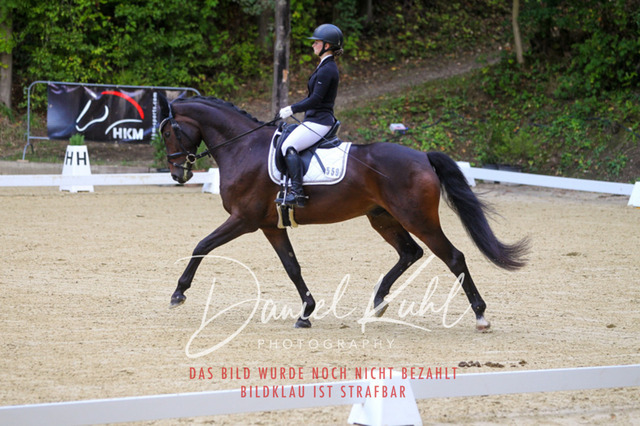 DKP40966 | Turniersportfotografie; Pferdefotografie; Dressurfotografie