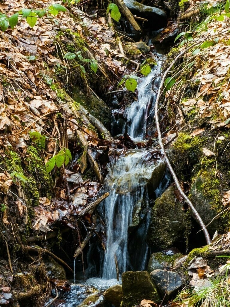 PSX_20230422_000033 | mtkfoto_ - Realisiert mit Pictrs.com