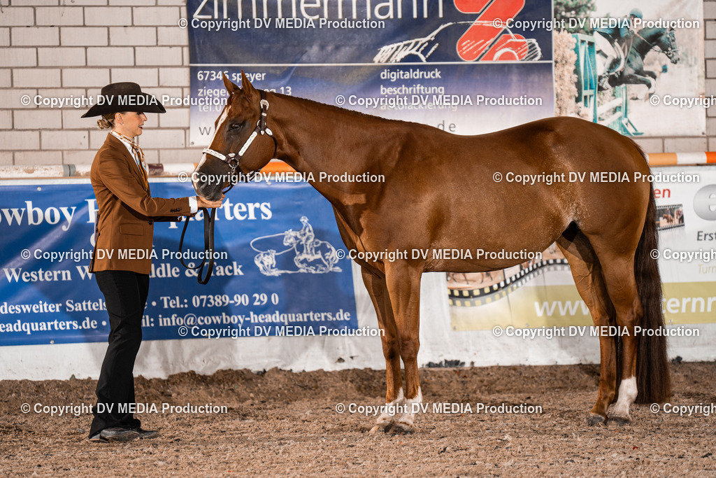 ZH200012 | dv-media-shop - Realisiert mit Pictrs.com