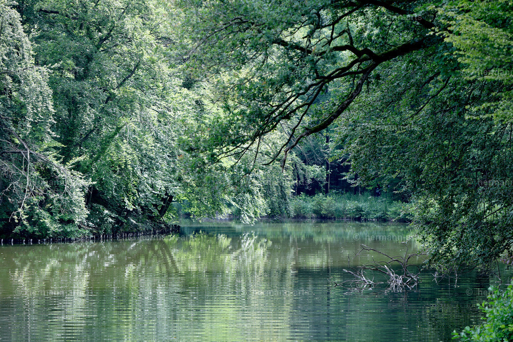 Bagno_09_07_24_DPP-46 | Photo Foto Kunst Art schwarzweiss Bilder Rheine Münster Berlin Blumen 