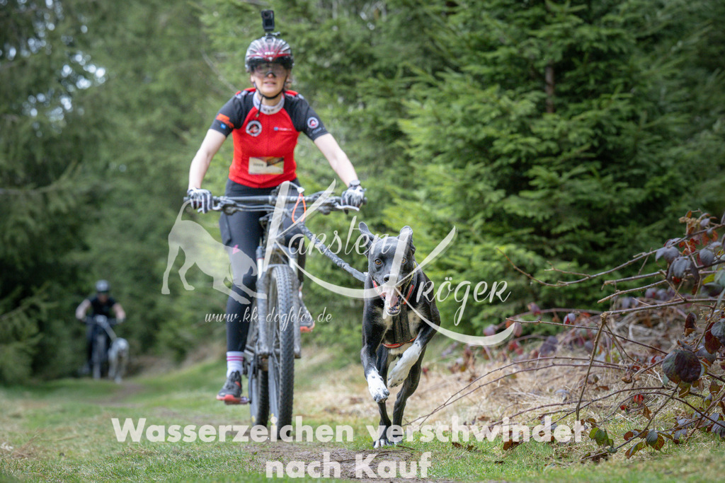 1311_ZZ93896 | kk-dogfotos