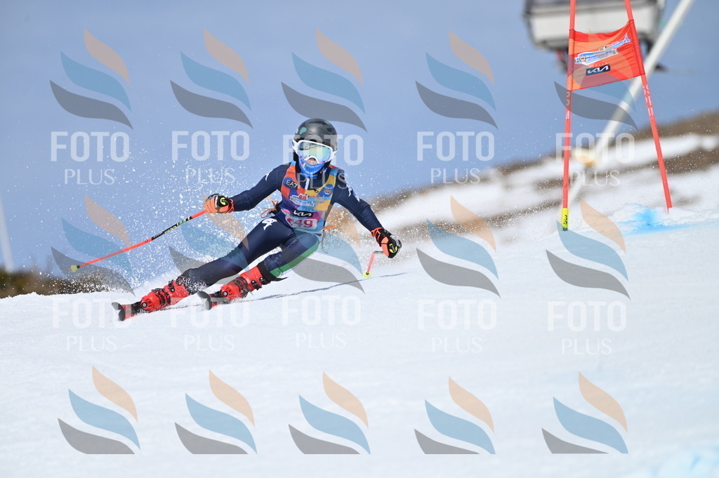 BGV_1850 | holidayphoto