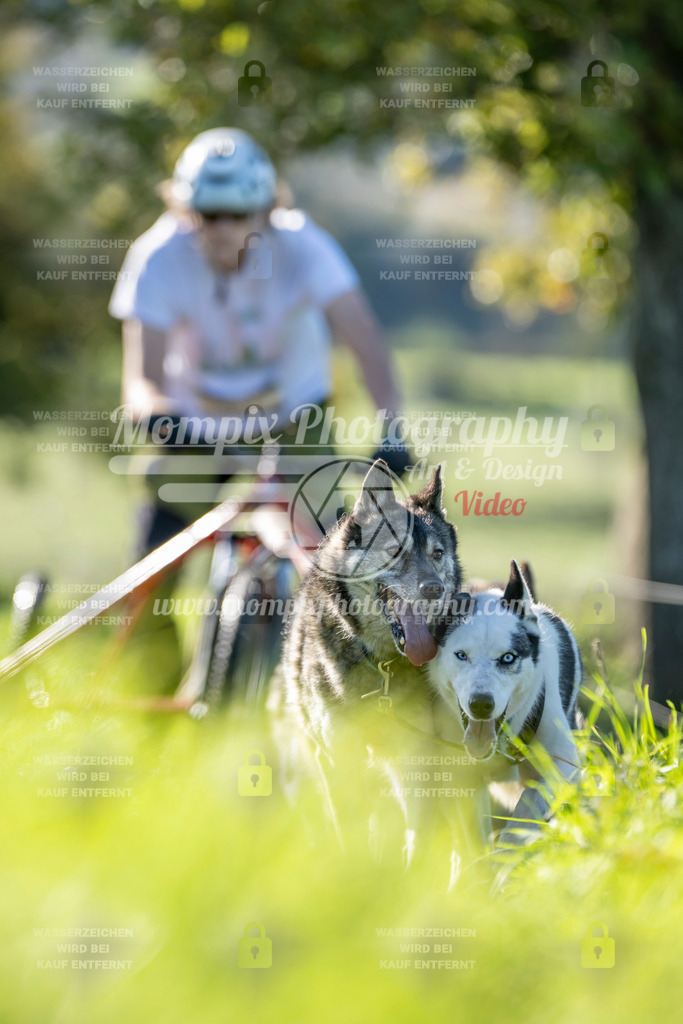 MompixPhotography_20TSB_E3_Kart-14 | PayLife
