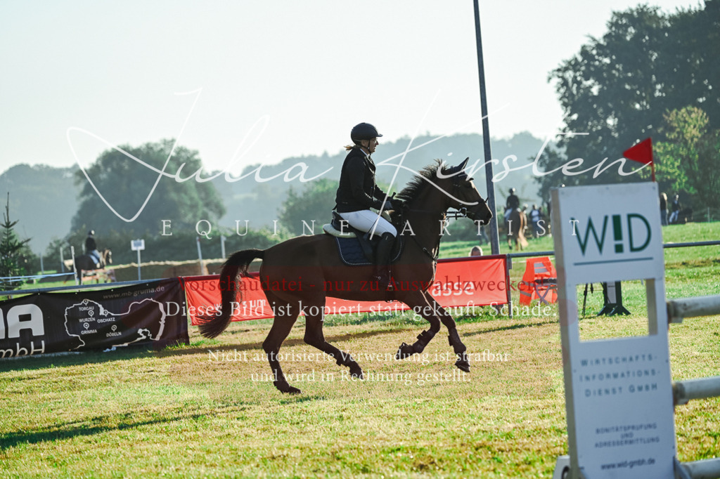 DSC_3887 | Pferde- und Turnierfotografie in Westsachsen. Pferdeportraits, Auftragszeichnungen und intuitive Kunst.