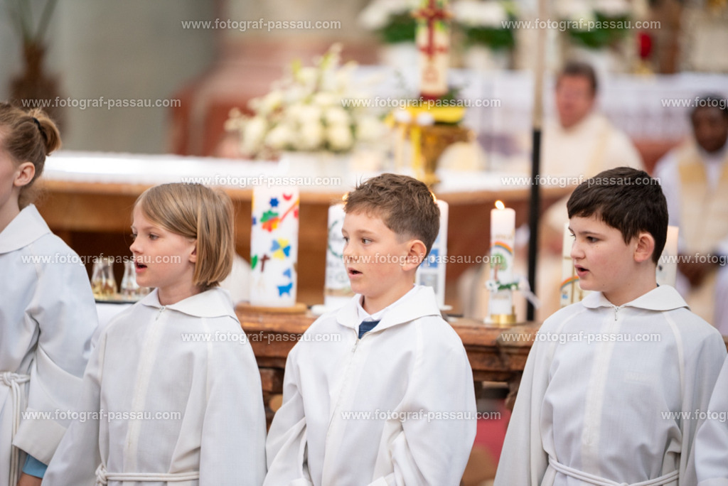 _DSC2682 | Hier finden Sie die Online Foto-Galerie von fotograf-passau.com und marius-handrugan.de. Suchen Sie sich direkt Ihre Lieblingsbilder aus, ob als Ausdruck oder Download. - Realisiert mit Pictrs.com