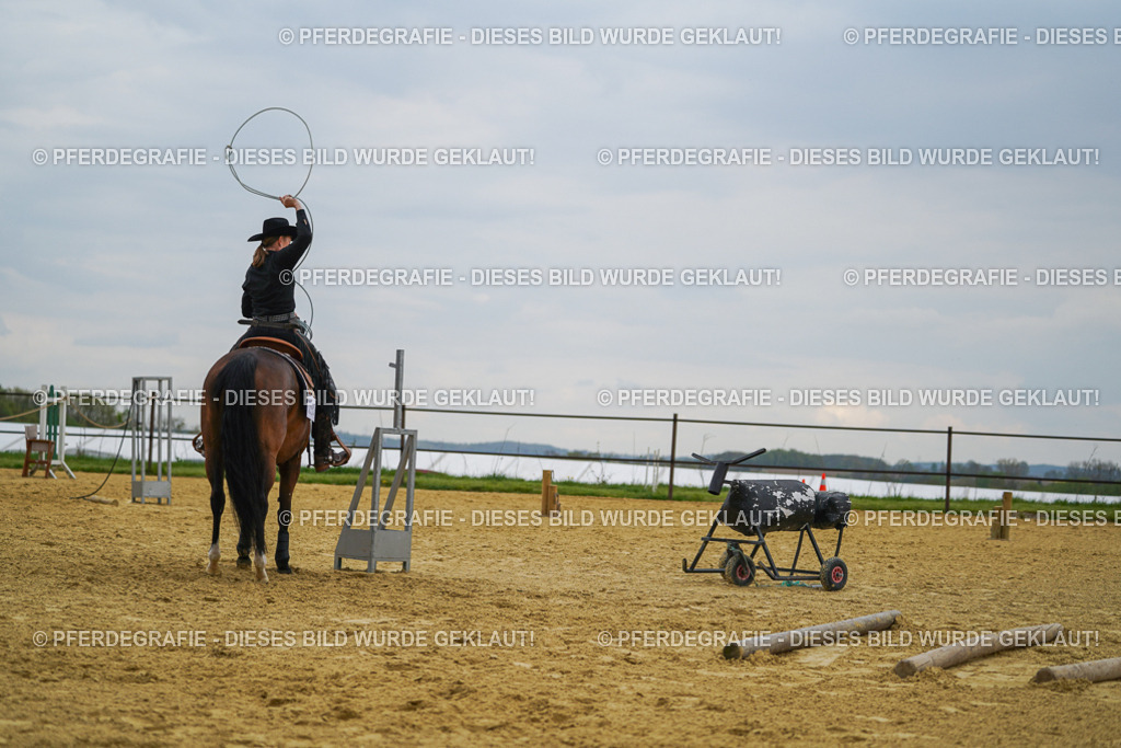 DSC07715 | Pferdegrafie